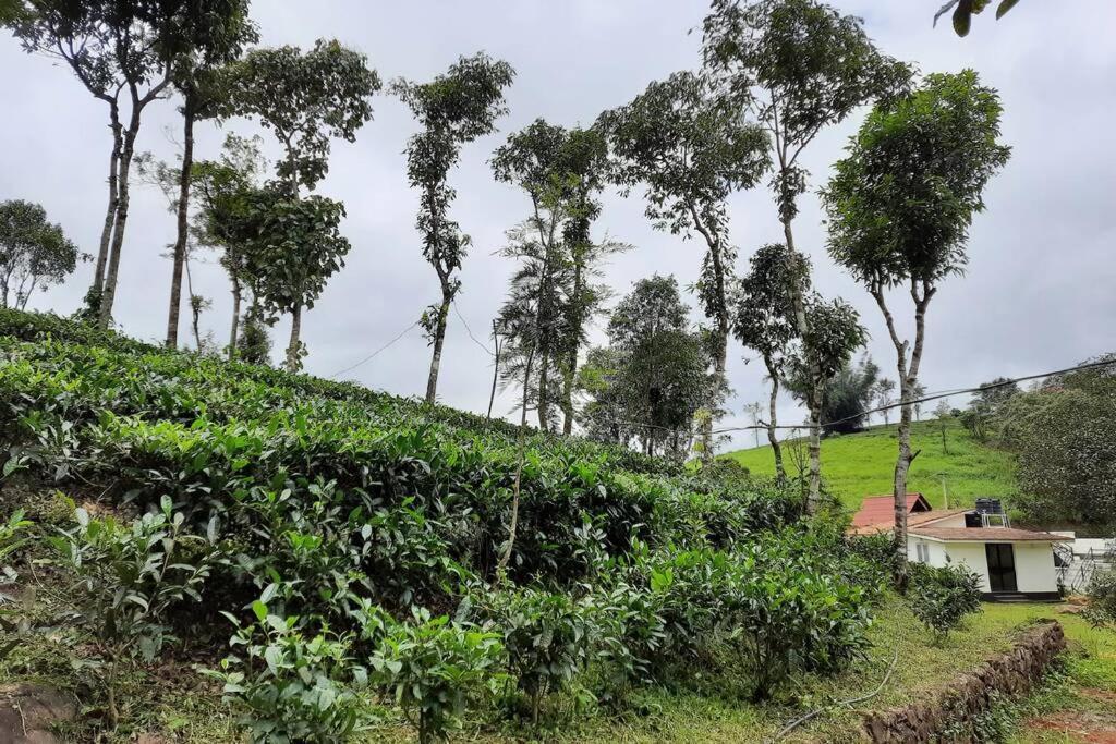 Farmstay in ചില്ലുകൂടാരം at Les Domki et al. Vagamon Eksteriør billede
